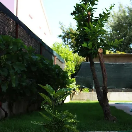 Sweet Apartment *